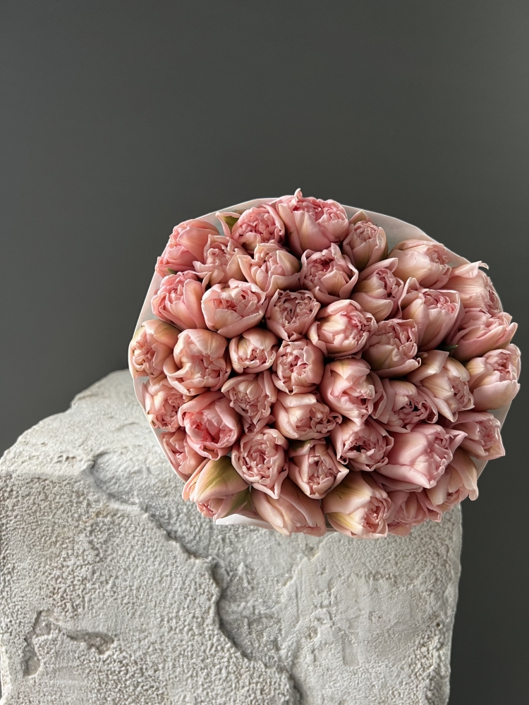 Тюльпан пионовидный Дриммер/шт ― Amourflowers