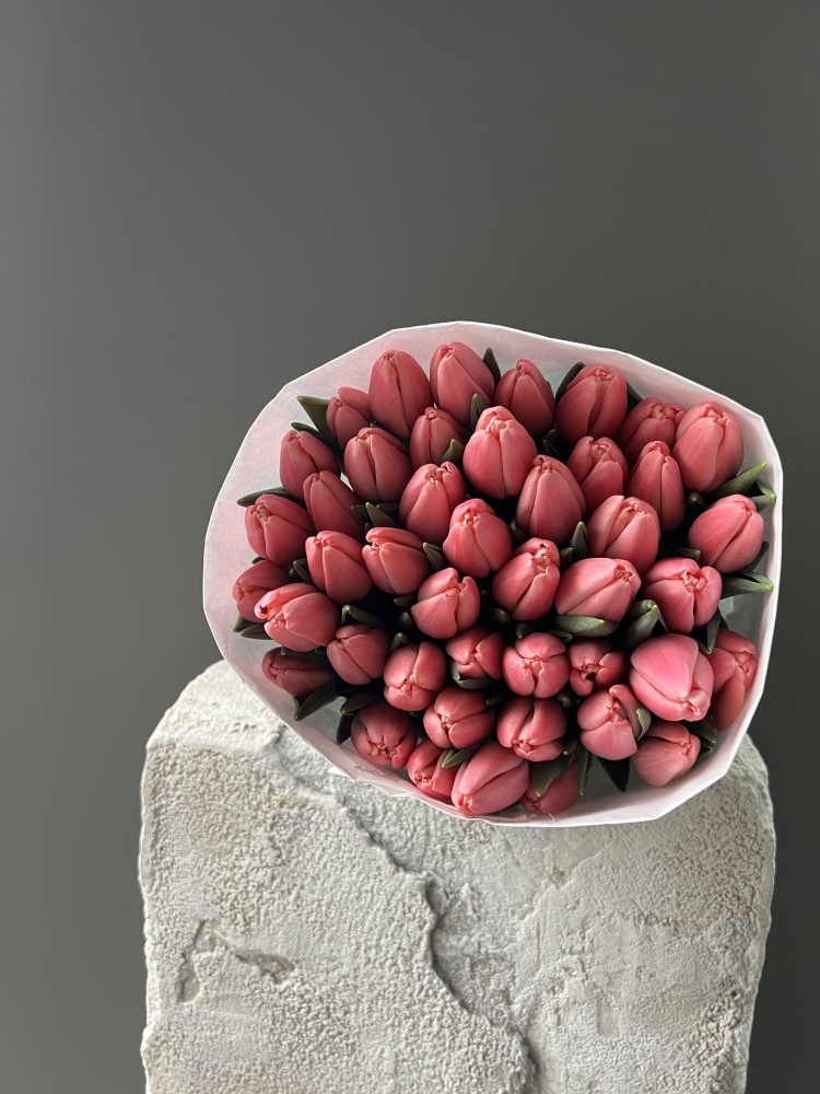 Тюльпан Трезор/шт ― Amourflowers