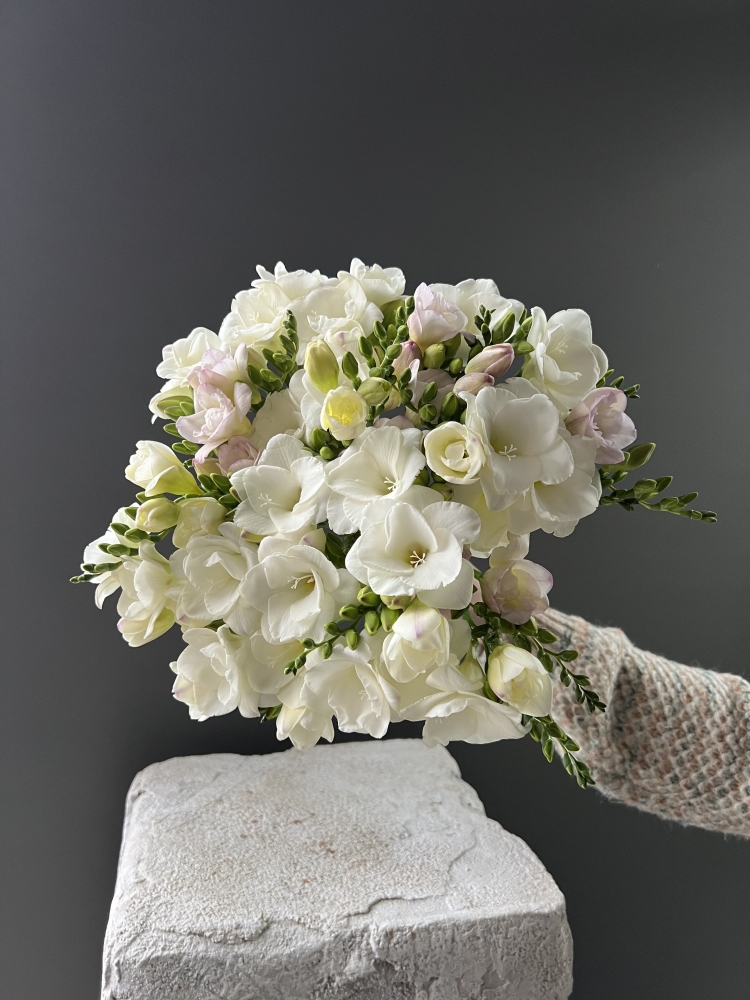 Фрезия белая/шт ― Amourflowers