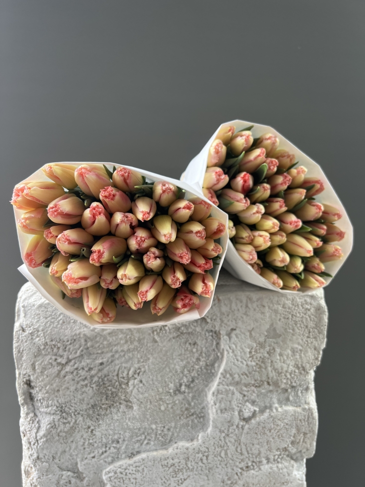 Тюльпаны Линжери/шт ― Amourflowers