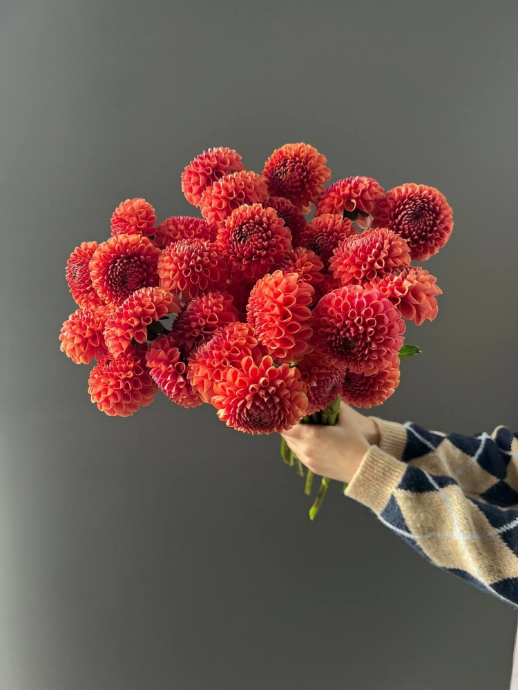 Букет «Бронзовые георгины» — купить с доставкой в Симферополе | AmourFlowers